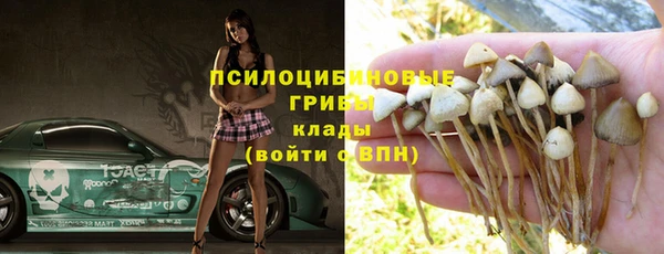 прущие крисы Верхний Тагил